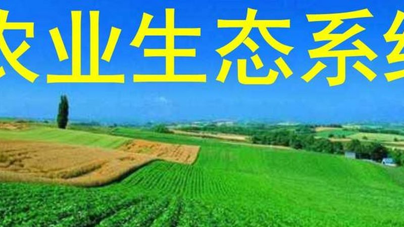 成都农业合作社与家庭农场区别