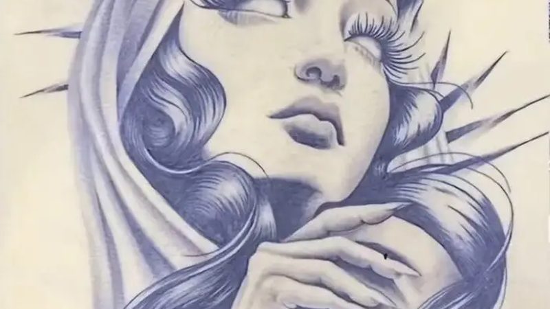 有机蔬菜种子哪个牌子好