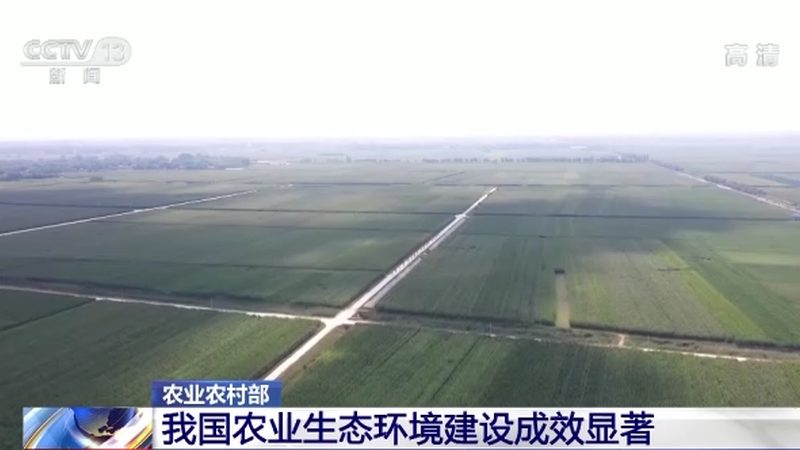 绿色食品加盟需要什么资质