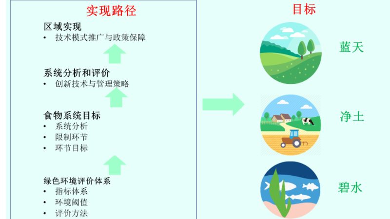 农民专业合作社：种植业发展的新引擎**