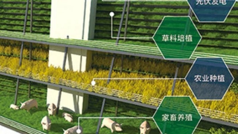 农产品批发加盟，手续办理全攻略**