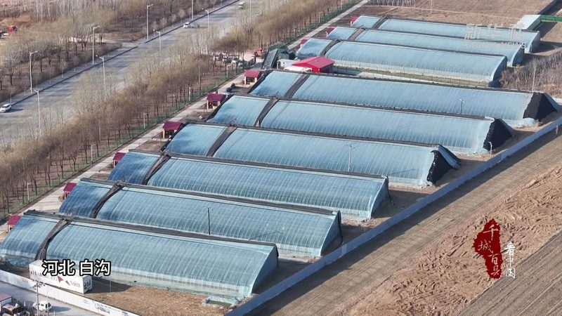 农村合作社税收优惠政策全解析