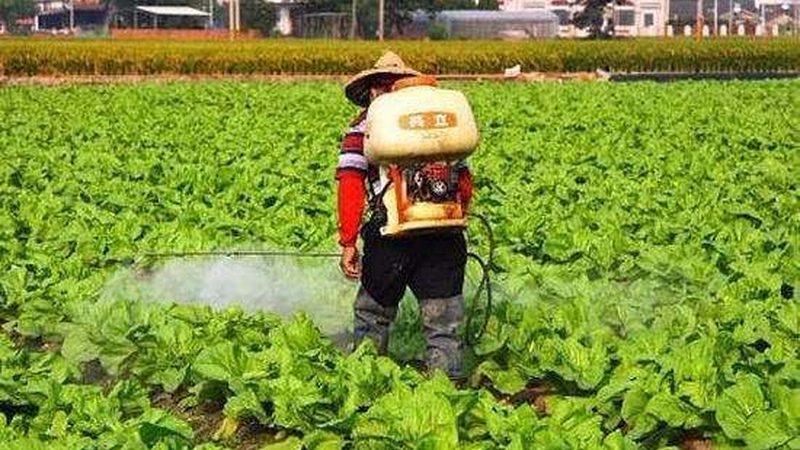 小标题：关注配送速度与新鲜度