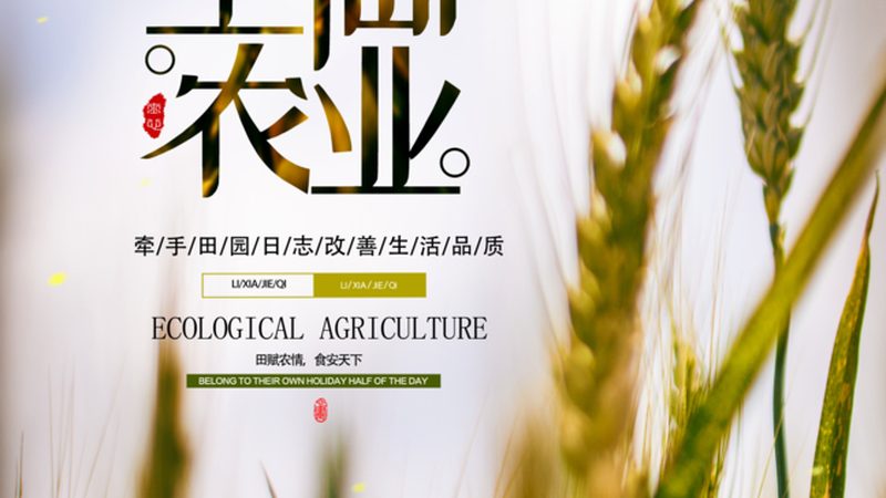绿色食品续展与初次申请：关键区别与流程解析